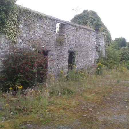 Ferienwohnung The Townhouse Claremorris Exterior foto