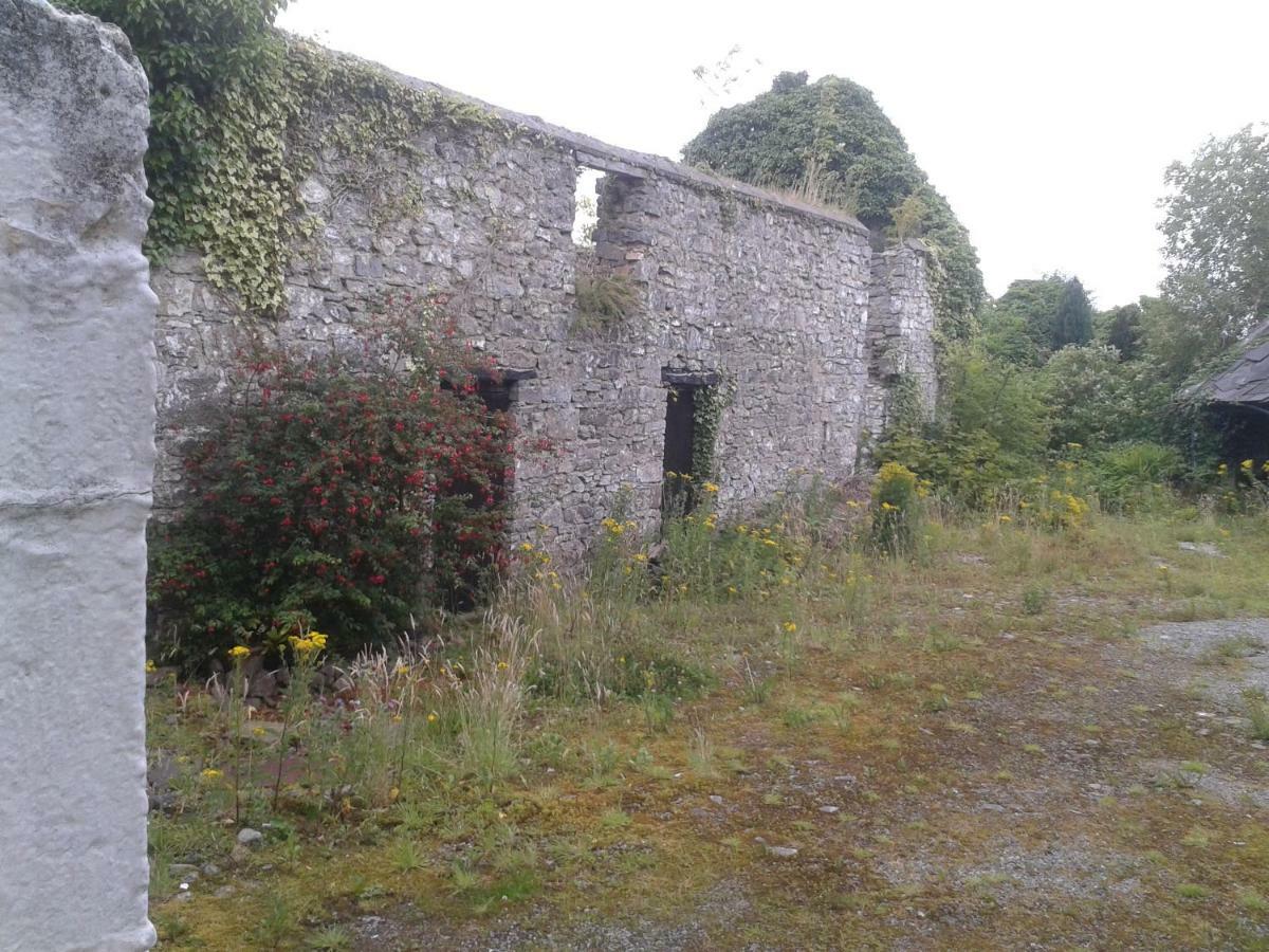 Ferienwohnung The Townhouse Claremorris Exterior foto